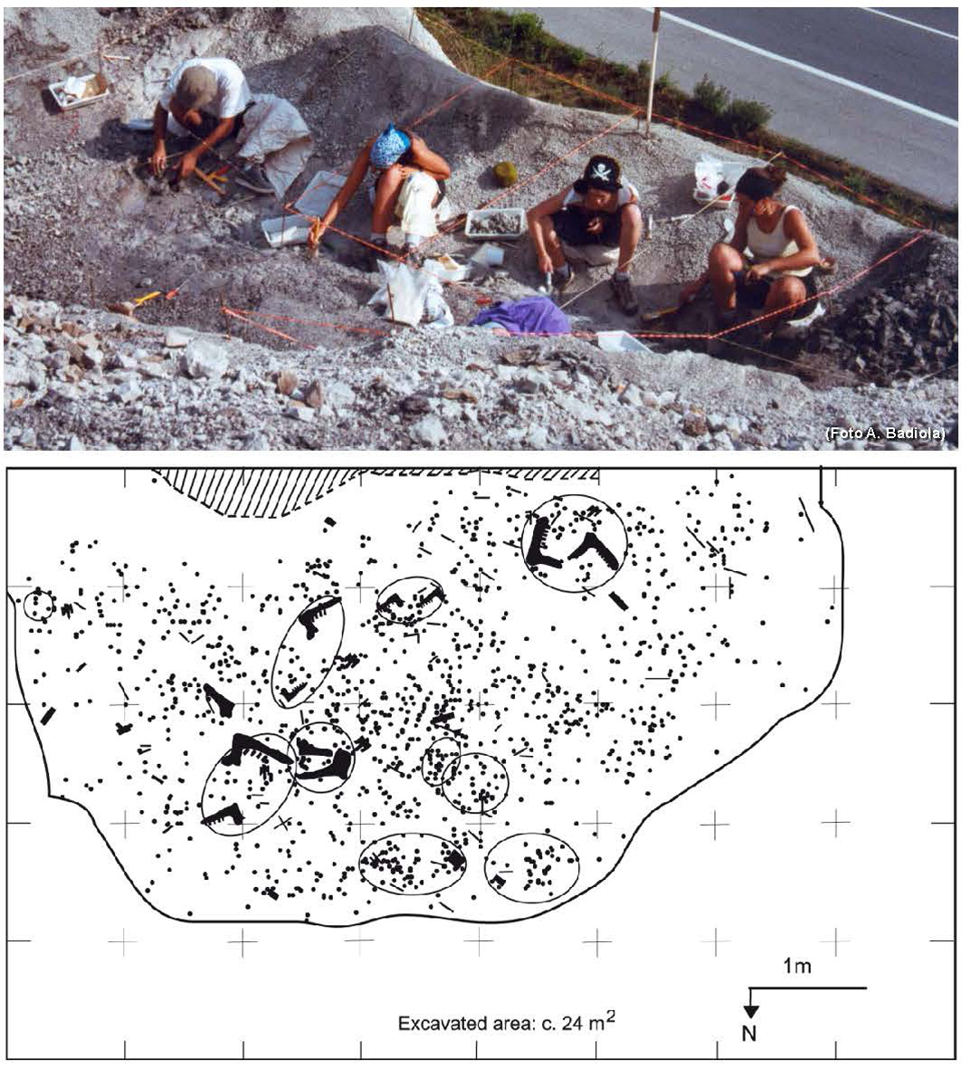 Zanbranan aurkitu duten primate baten aztarna fosilen garrantzia