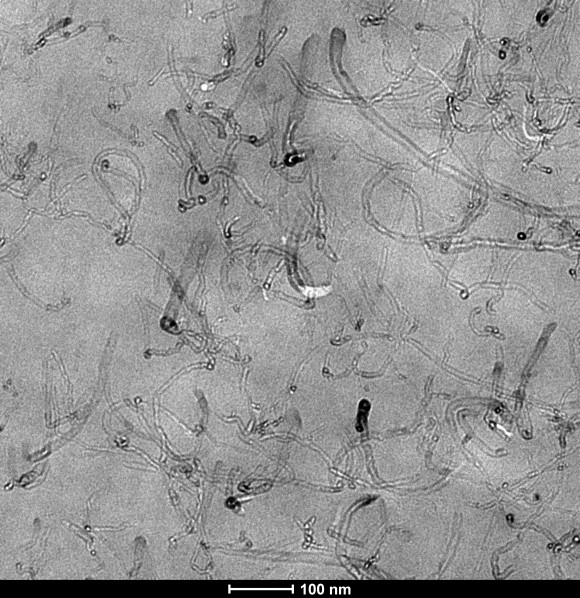 (Poli(eter imida)-poli(butilentereftalato))-z eta karbonozko nanohodiz (% 3, nanohodiak) eginiko nanokonposatuaren transmisiozko mikrografia elektronikoa.