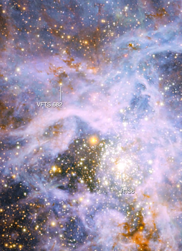 Tarantula Nebulosa inguruko izar zonalde aktiboaren zati bat. Goian, ezker aldean, VTFS 682 izar distiratsua, eta behean eskuin aldean, R 136 izar multzoa. Hutsagatik, izan hau gorrixka azaltzen da hemen; irudi honek elkartu egin ditu argi ikusgarripeko eta argi infragorripeko argazkiak, bi teleskopiori esker hartuak: 2,2 metroko MPG/ESO teleskopioa eta bere Wide Field imager delakoa La Sillako (Txile) Behatokian batetik, eta bestetik Paranal Behatokiko 4.1 metroko teleskopioa. Argazkia: ESO/M.-R.Cioni/VISTA Magellanic Cloud Survey. Esker onak: Cambridgeko Astronomia Behetako Unitatea.