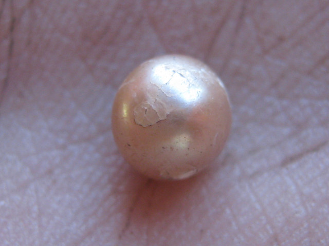 1. irudia: Aurkitutako perla naturalaren irudia. (Argazkia: University of Wollongong)