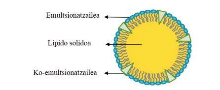 Lipido Solidozko Nanopartikulak