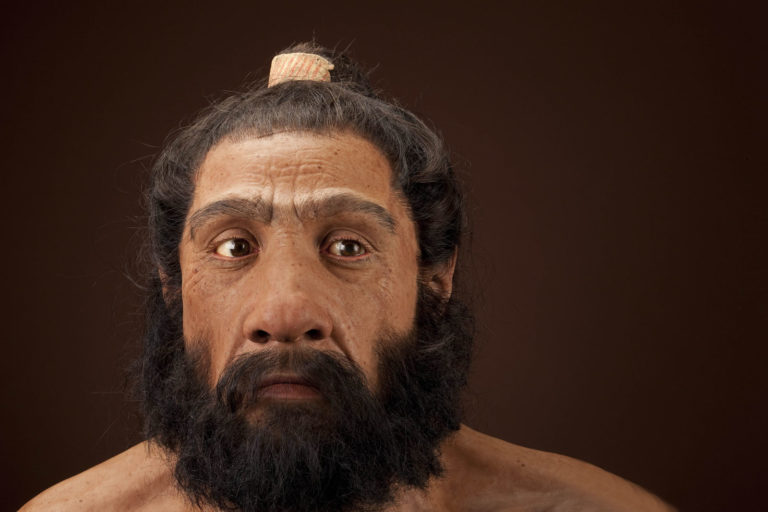 Ehizaren atzetik joan ziren neandertalak hegoalderantz