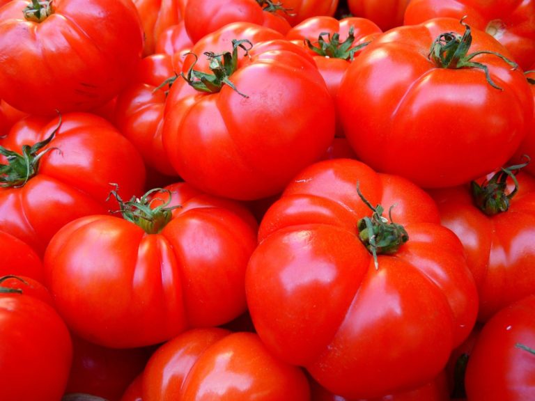 Errezeta egiteko osagaiak: tomatea (I)