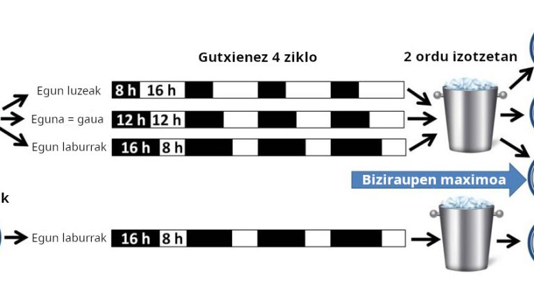 Fotoperiodoa