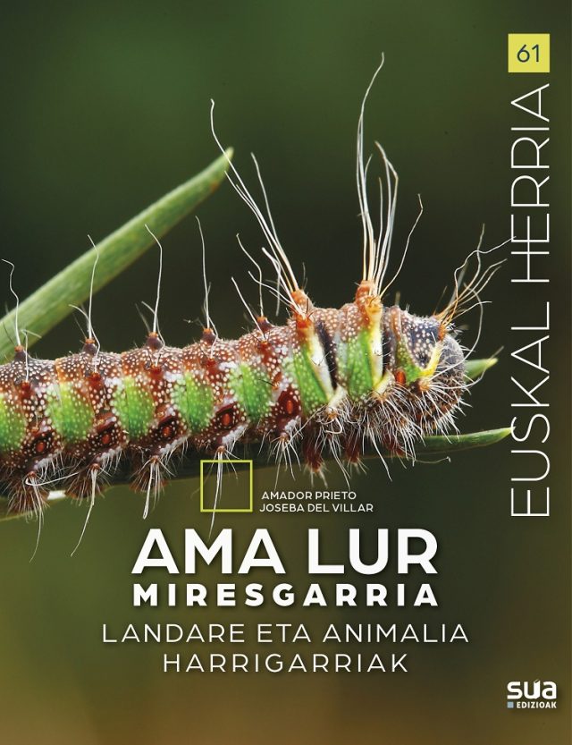 Ama Lur