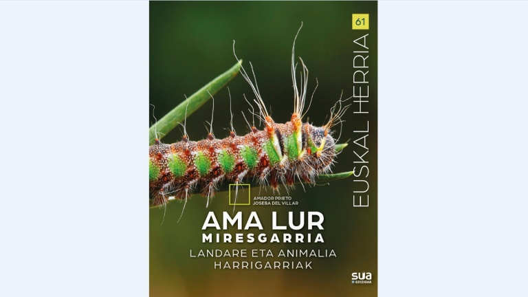 Ama