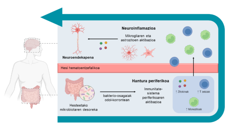 Neuroinflamazioa Parkinson gaixotasunaren agerpenean eta progresioan