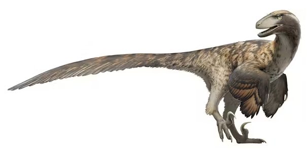 itxura