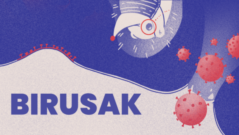 Kiñuren begirada: birusak