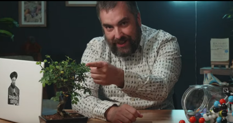 Eskaileratik zuhaitzera
