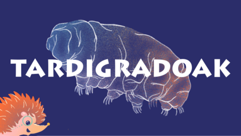 Kiñuren begirada: tardigradoak