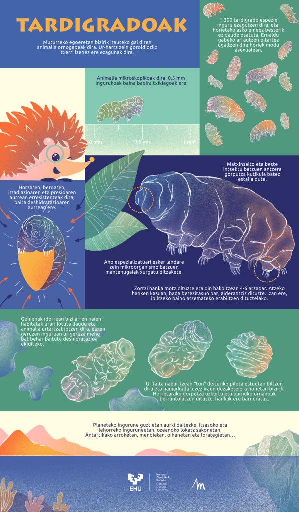 tardigradoak