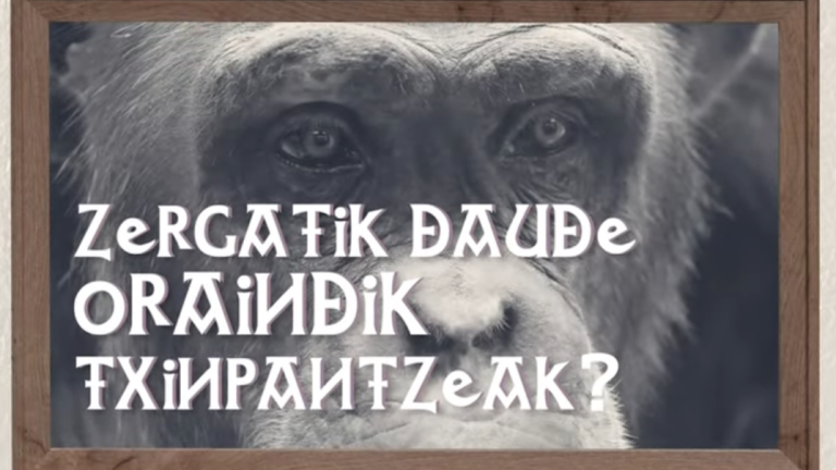 Zergatik daude oraindik txinpantzeak?