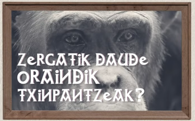 Zergatik daude oraindik txinpantzeak?