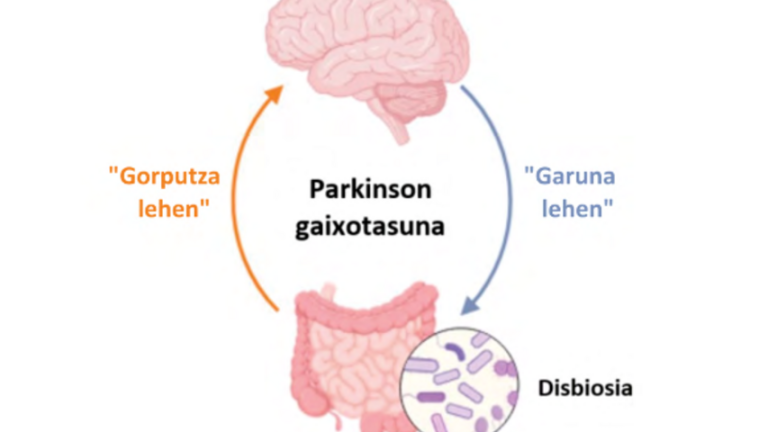 Mikrobiota-heste-garun ardatza Parkinson gaixotasunean