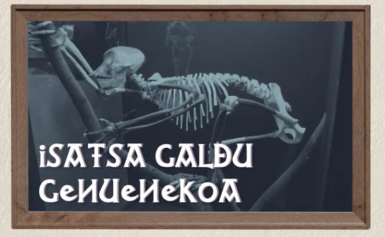 Isatsa galdu genuenekoa