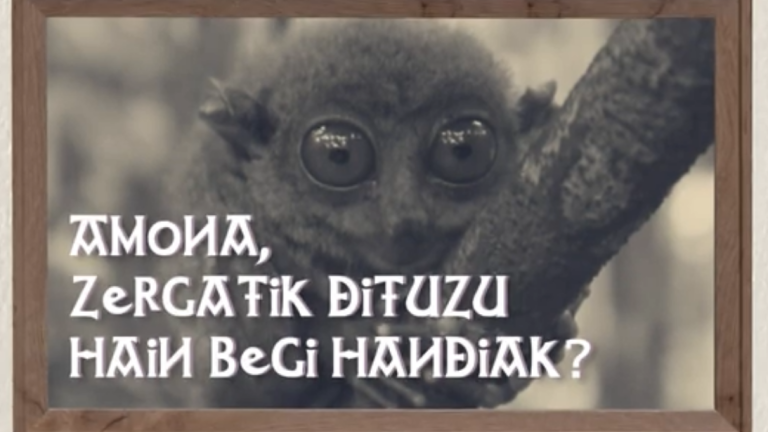 Amona, zergatik dituzu hain begi handiak?