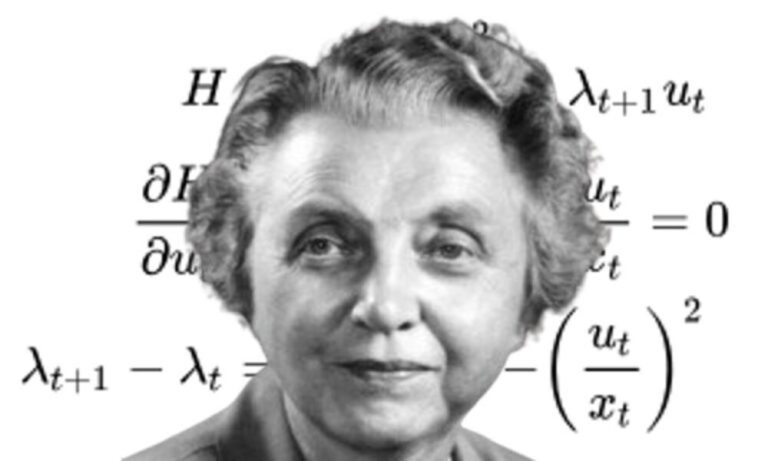 Irmgard Flügge-Lotz, kontrol teoriaren aitzindaria