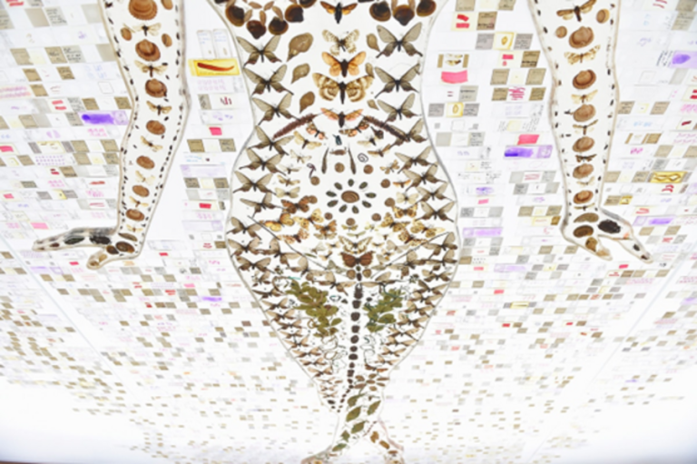 Zientzia eta artea: biodibertsitatea babesteko sinbiosia