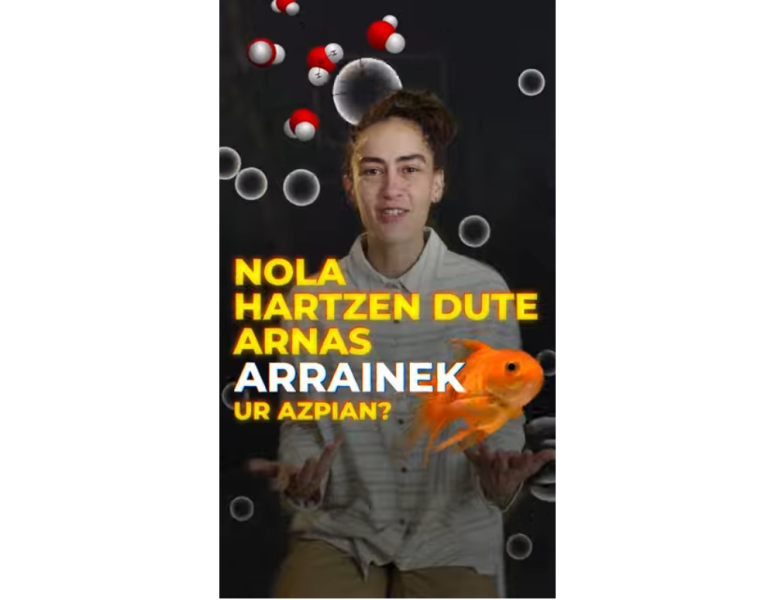 Nola hartzen dute arnasa arrainek?