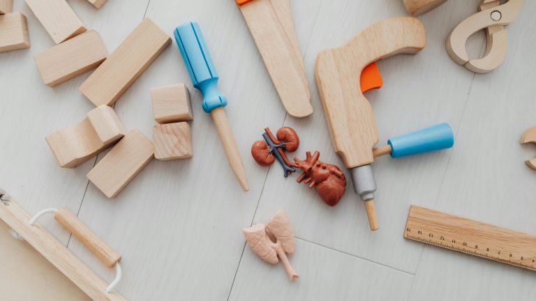 Zer organo birsortu daitezke giza gorputzean?