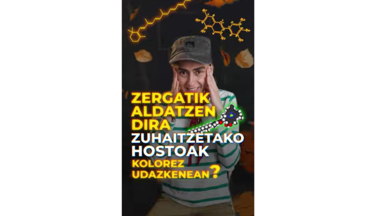 Zergatik aldatzen dira zuhaitzetako hostoak kolorez?
