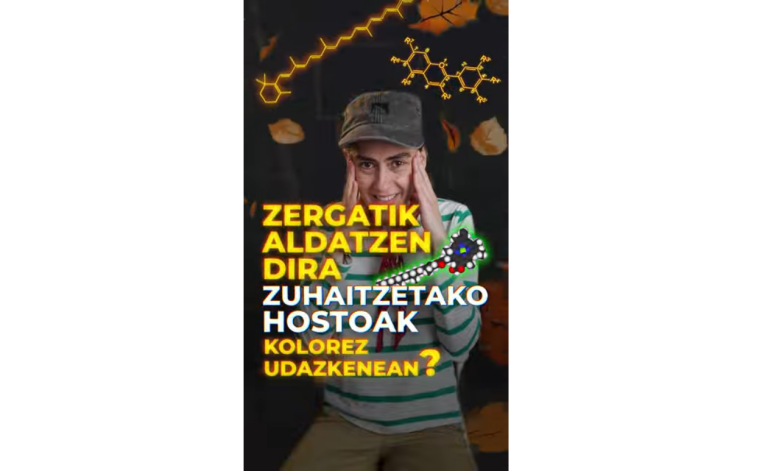 Zergatik aldatzen dira zuhaitzetako hostoak kolorez?