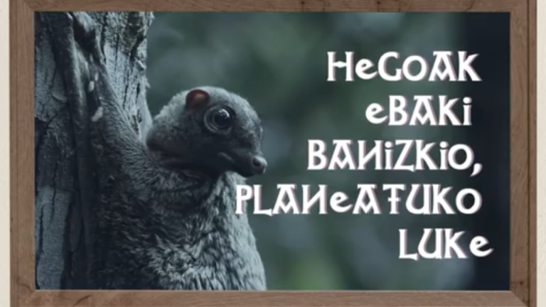 Hegoak ebaki banizkio, planeatuko luke