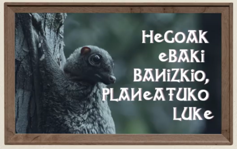 Hegoak ebaki banizkio, planeatuko luke