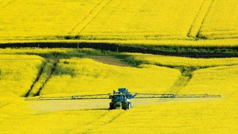 Pestizidek lurzoruen biodibertsitatea murrizten dute