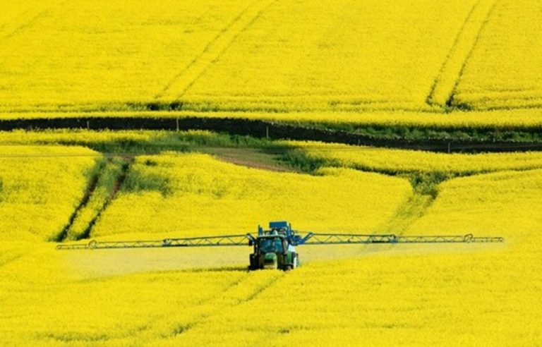 Pestizidek lurzoruen biodibertsitatea murrizten dute