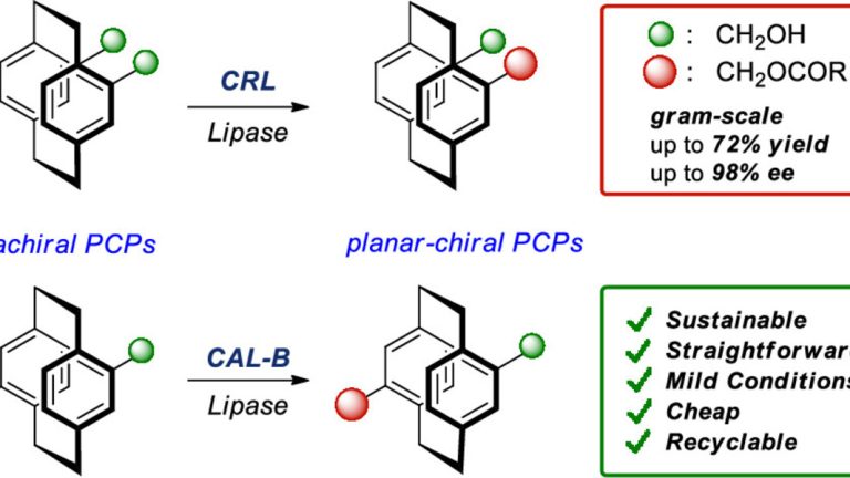 Biokatalisia: molekula konplexuen sintesi jasangarrirako soluzioa