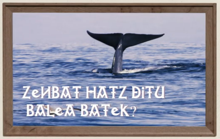 Zenbat hatz ditu balea batek?