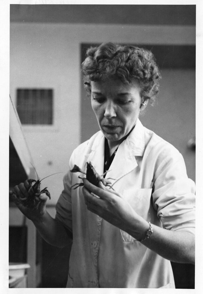 Mary Alice McWhinnie: aitzindaria Antartikan