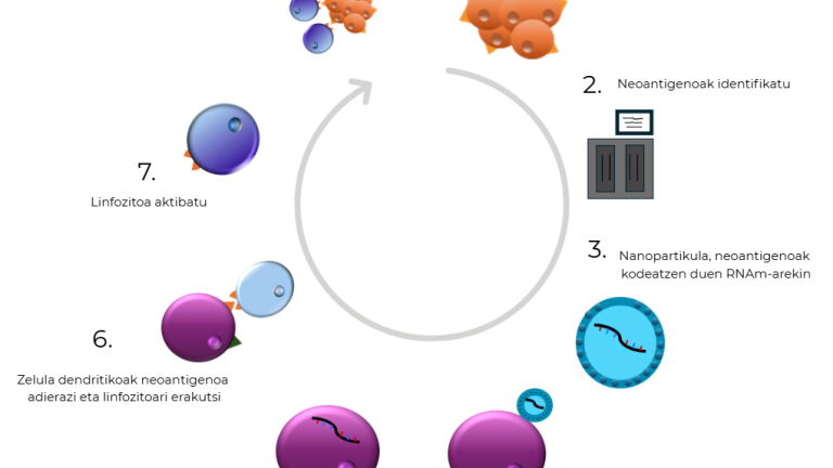 RNA