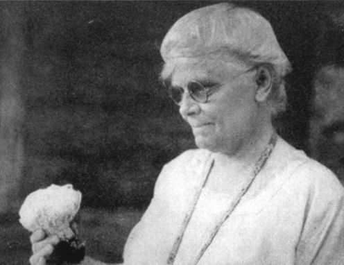 Eaton Morse