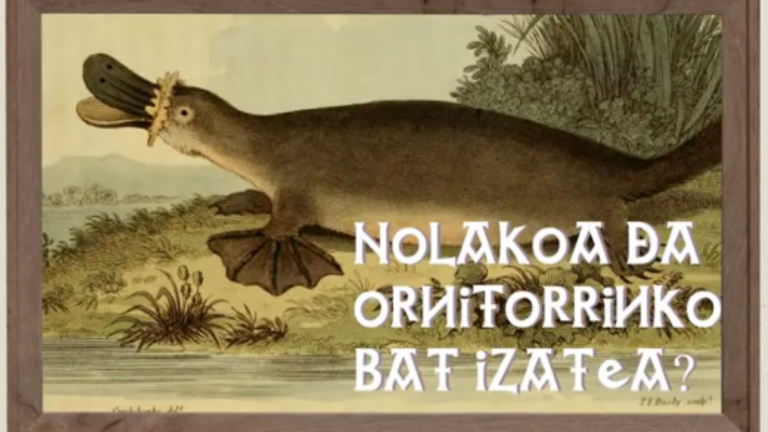 Nolakoa