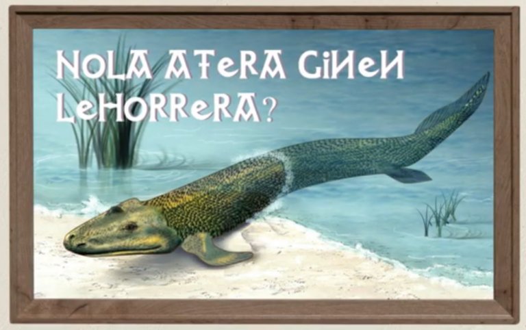 Nola atera ginen lehorrera?