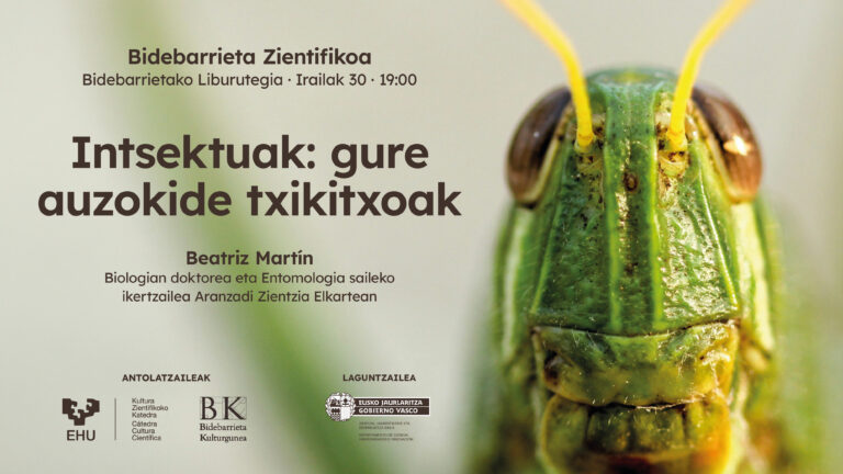 Intsektuak: gure auzokide txikitxoak