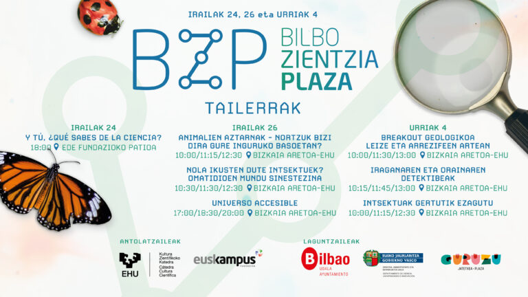 BZP Tailerrak 2026