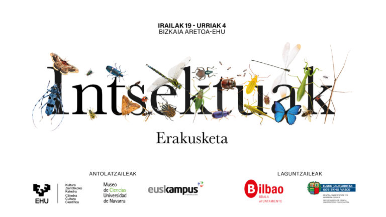 Intsektuak. Kontatzen duten guztia