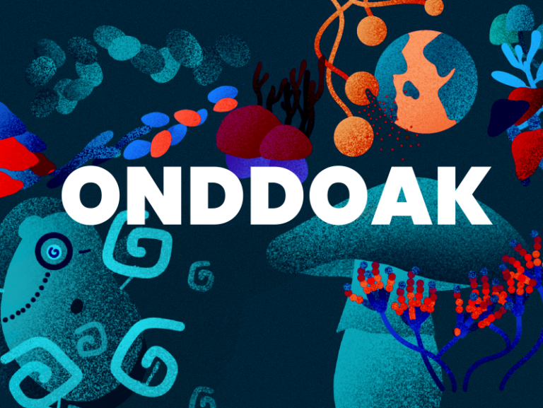 Kiñuren begirada: onddoak